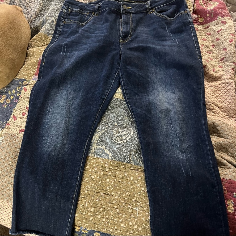 Cabi style 3561 high straight